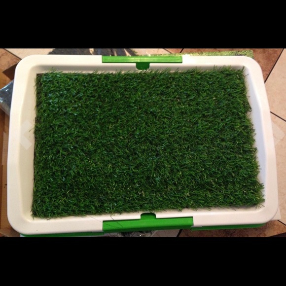 Dog Indoor Synthetic Grass Potty Trainer - Picture 6 of 7